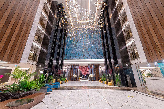 Calyptus Kirman Premium - Foto 3