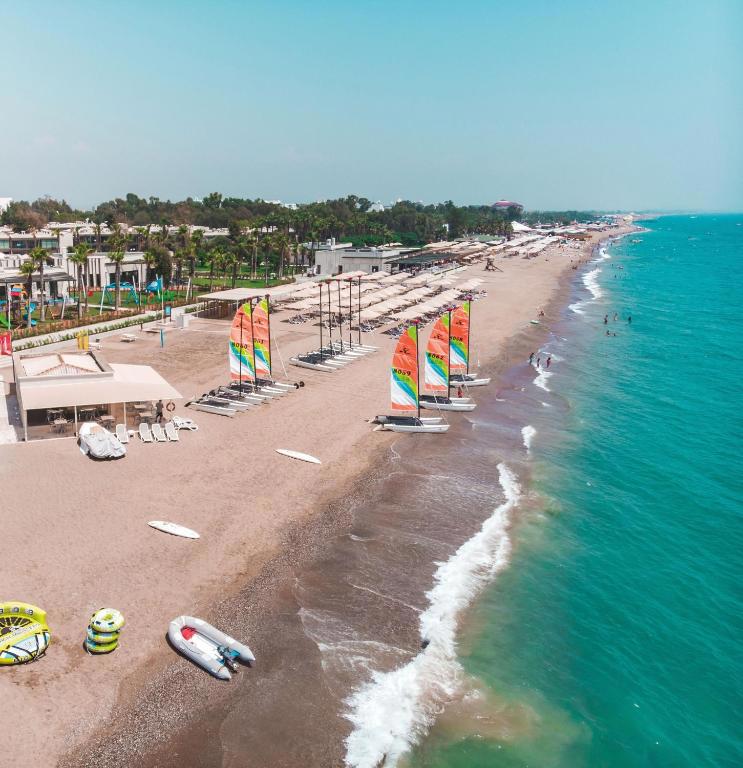 Paloma Orenda - Foto 3