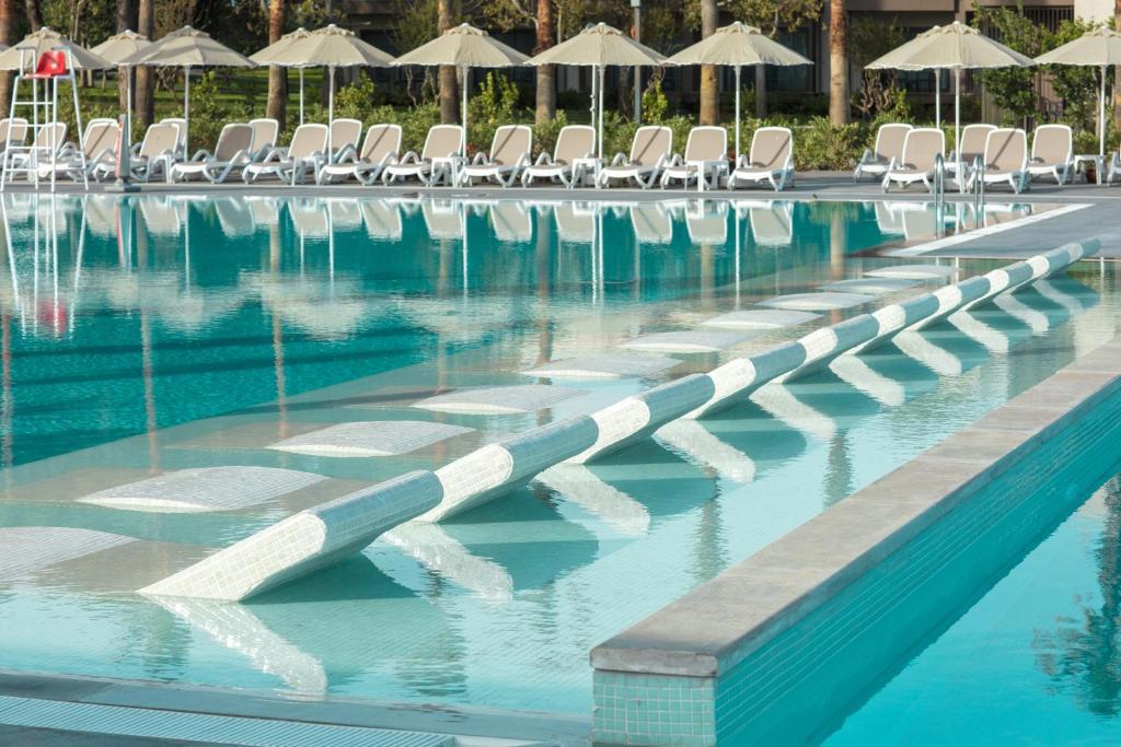 Paloma Orenda - Foto 4