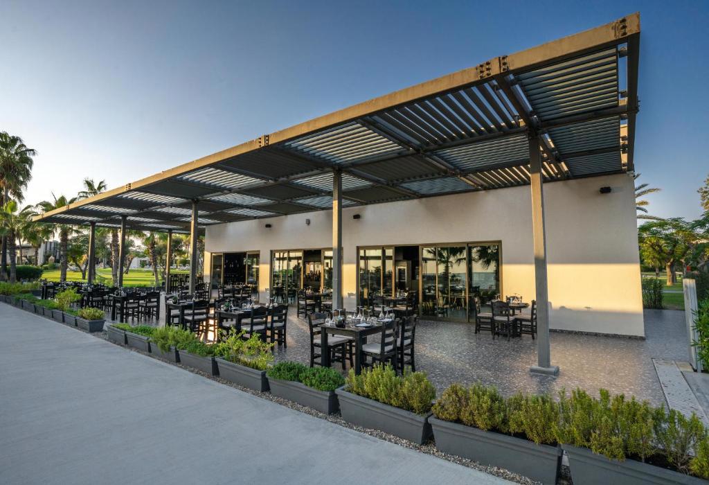 Paloma Orenda - Foto 5