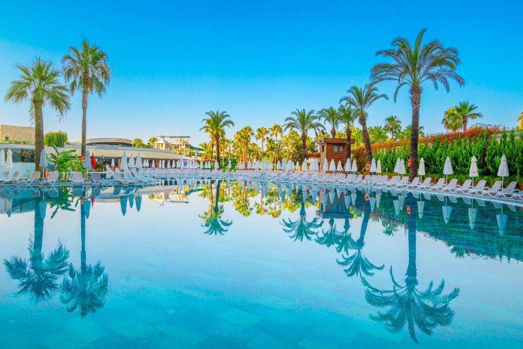 Leodikya Kirman Premium - Foto 4