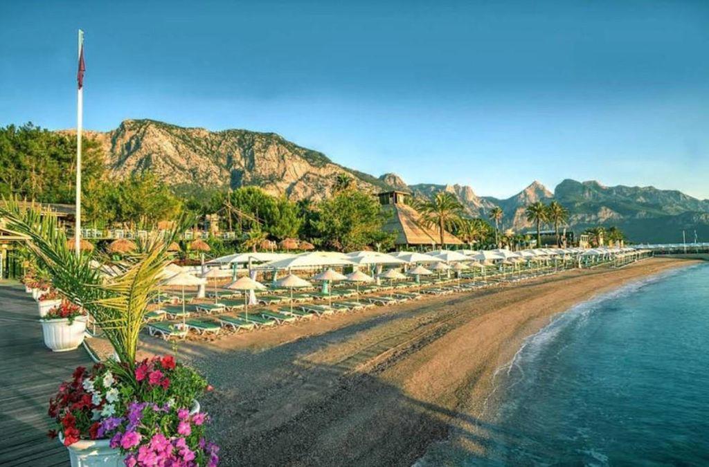 Gypsophila Club Marine - Foto 4