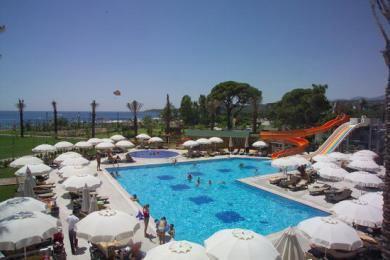 Armas Labada - Foto 2